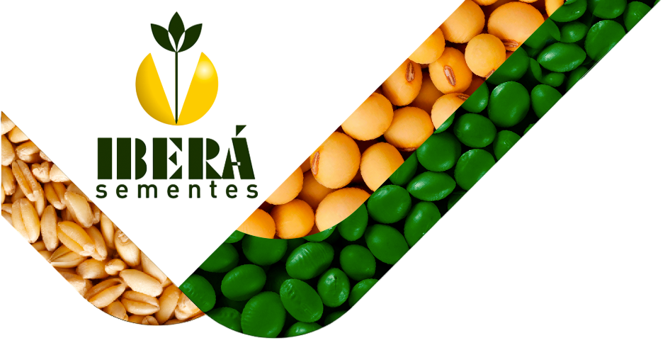 Logo Ibera